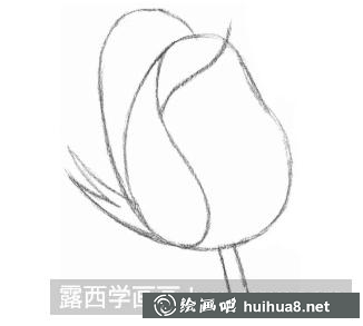 5.png