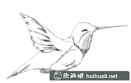 7.png
