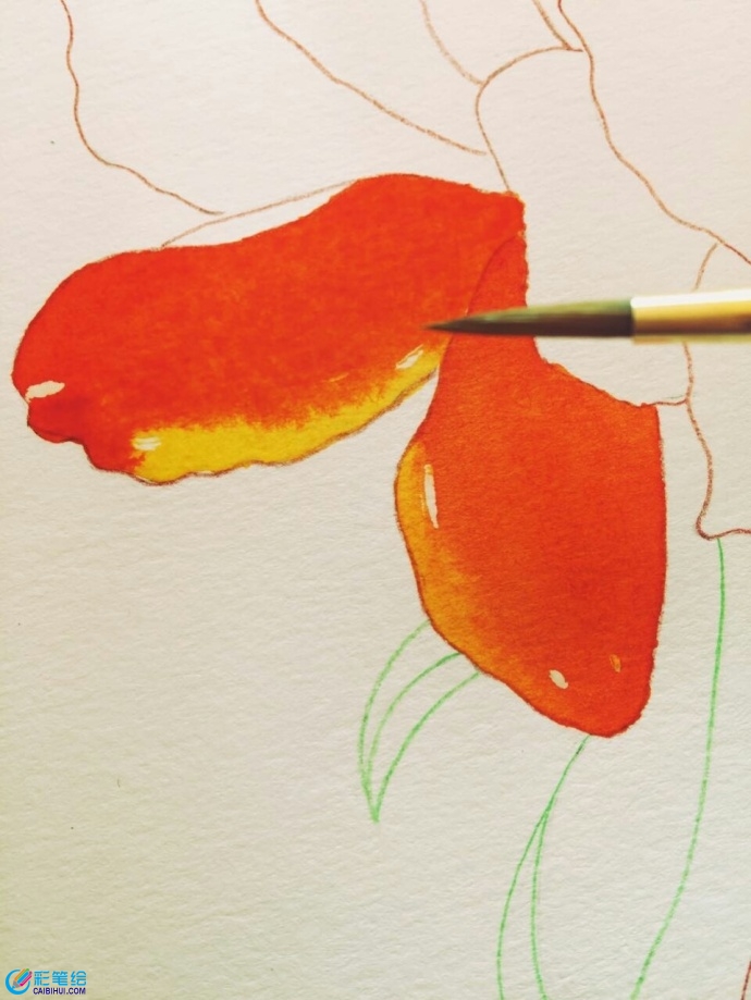水彩画杜鹃花 水彩画杜鹃花