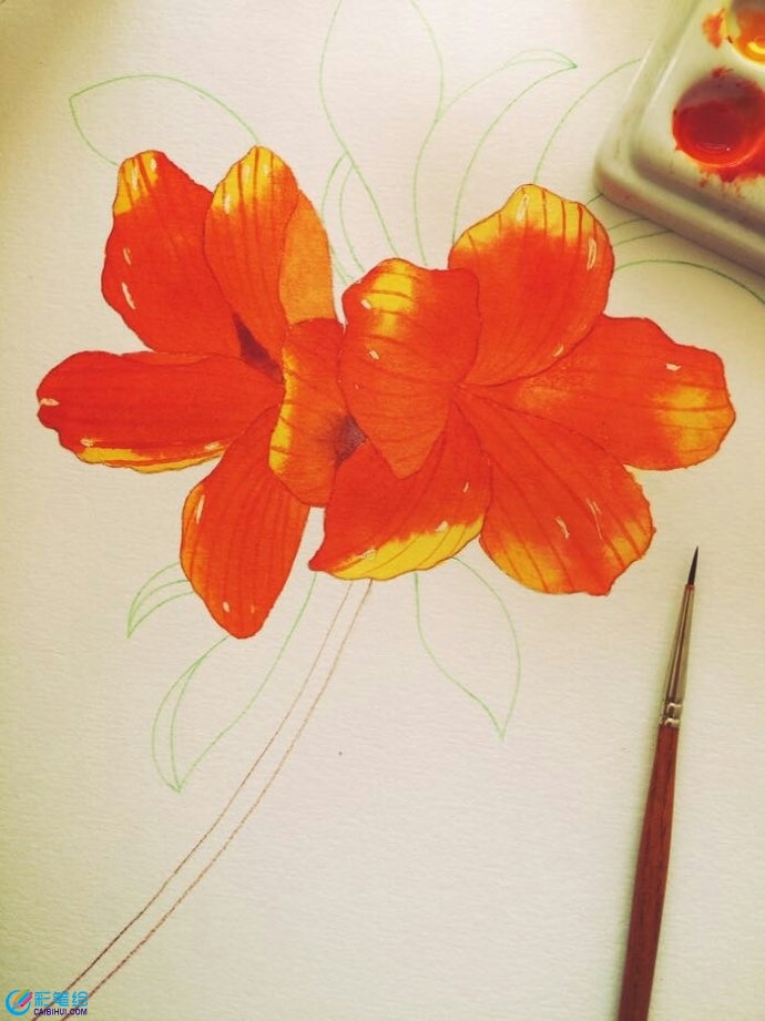 水彩画杜鹃花 水彩画杜鹃花
