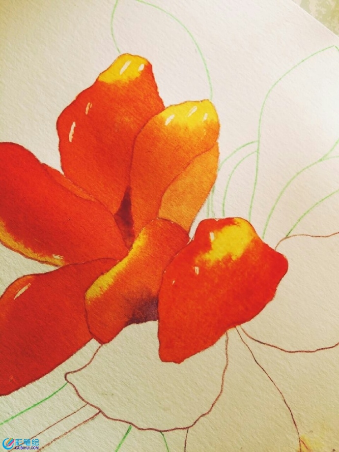 水彩画杜鹃花 水彩画杜鹃花