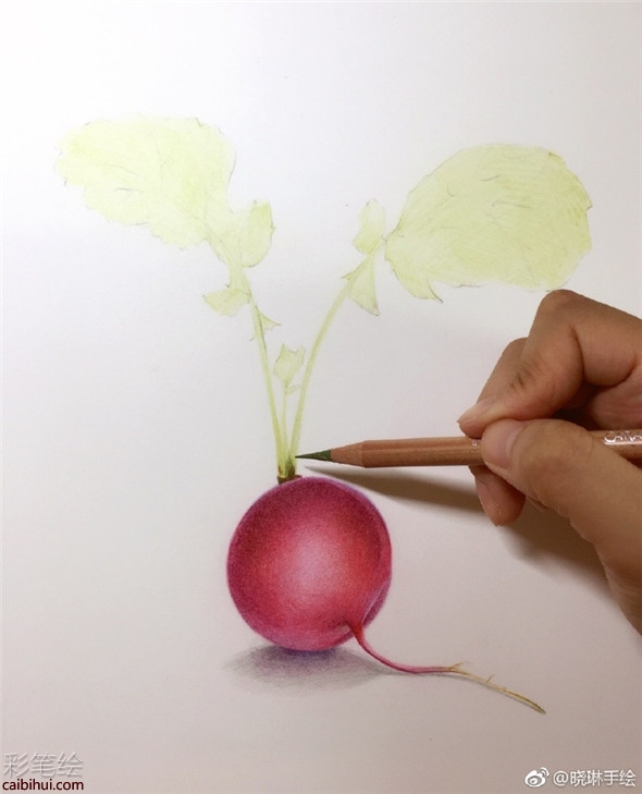 彩铅画入门：简单的胡萝卜彩铅画法