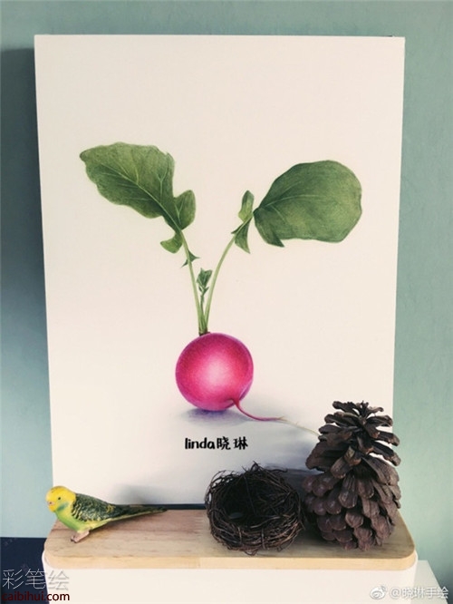 彩铅画入门：简单的胡萝卜彩铅画法