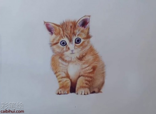 橘猫彩铅画步骤教程