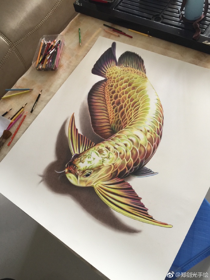 彩铅画金龙鱼.jpg 彩铅画金龙鱼