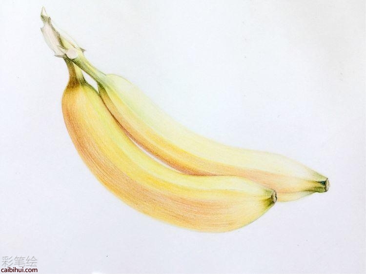 彩铅香蕉画教程