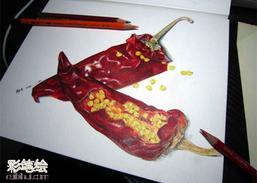 彩铅画辣椒教程