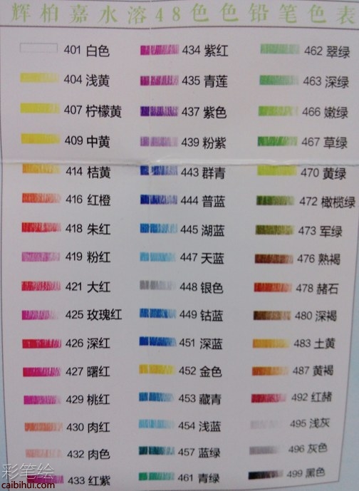 彩铅画格桑花
