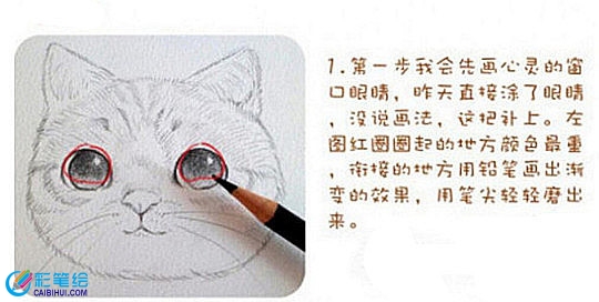 彩铅画基础技法教学：彩铅画上色步骤精讲