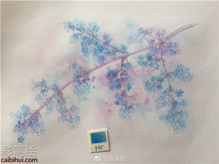 彩铅画花卉步骤图