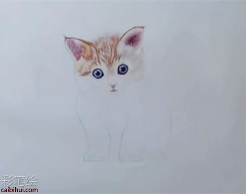 橘猫彩铅画步骤教程