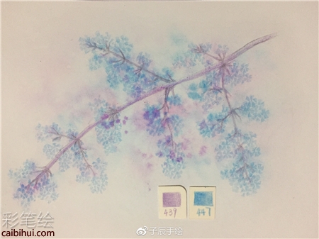 彩铅画花卉步骤图