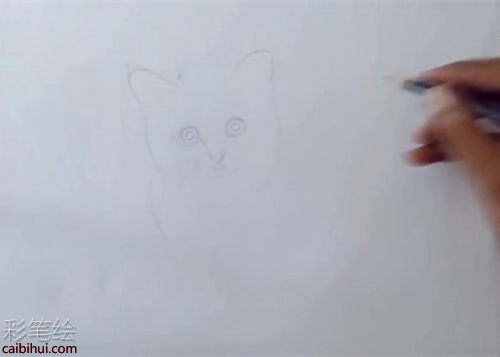 橘猫彩铅画步骤教程