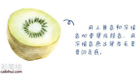 入门彩铅画猕猴桃教程