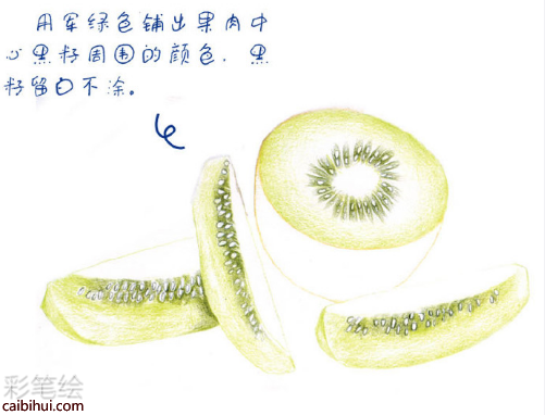 入门彩铅画猕猴桃教程