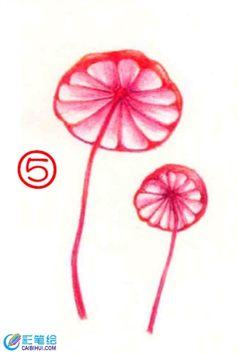 彩铅画蘑菇教程