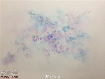 彩铅画花卉步骤图