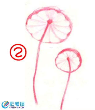 彩铅画蘑菇教程