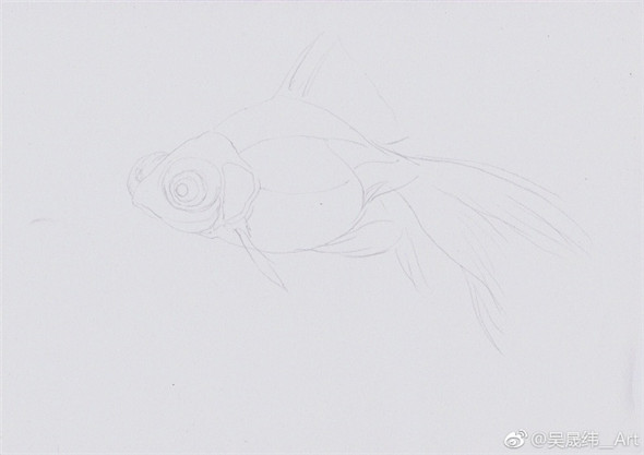 彩铅画动物：金鱼的彩铅画教程