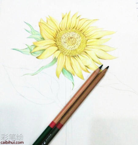 向日葵彩铅画教程 向日葵彩铅画教程