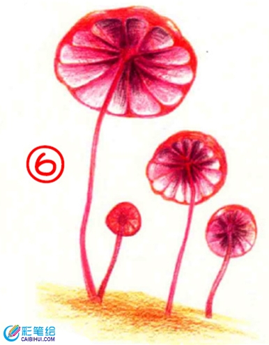 彩铅画蘑菇教程