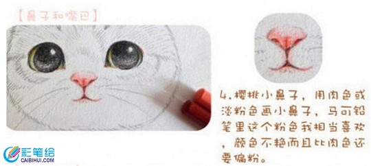 彩铅画基础技法教学：彩铅画上色步骤精讲