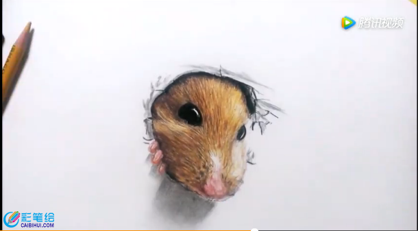彩铅手绘立体小老鼠