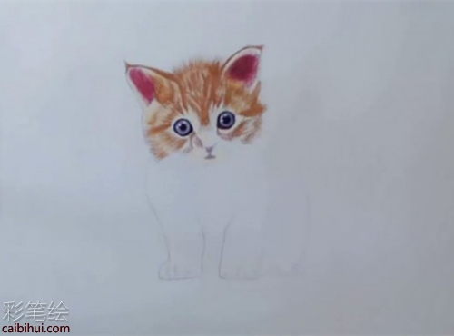 橘猫彩铅画步骤教程