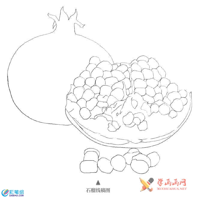 查看原始大图 彩铅手绘教程_石榴的画法(1)