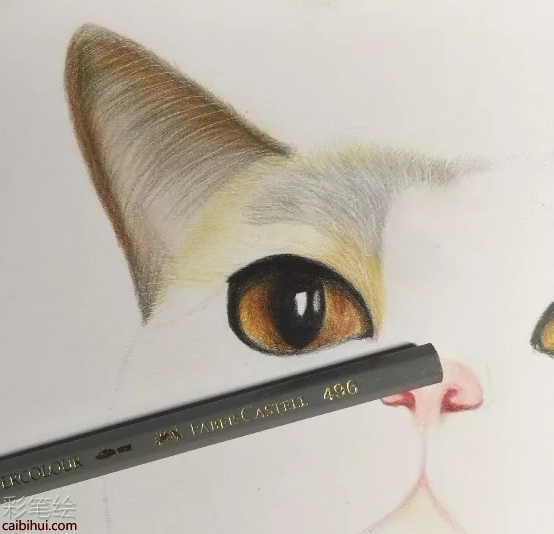 彩铅画猫的步骤图解