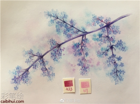 彩铅画花卉步骤图