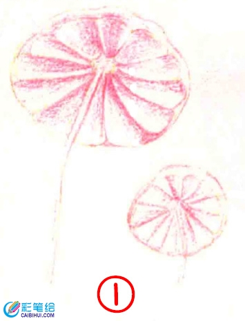 彩铅画蘑菇教程