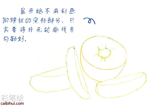 入门彩铅画猕猴桃教程