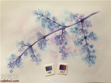 彩铅画花卉步骤图