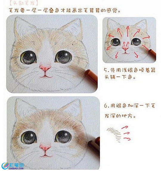 彩铅画基础技法教学：彩铅画上色步骤精讲