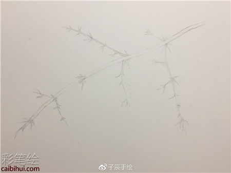 彩铅画花卉步骤图
