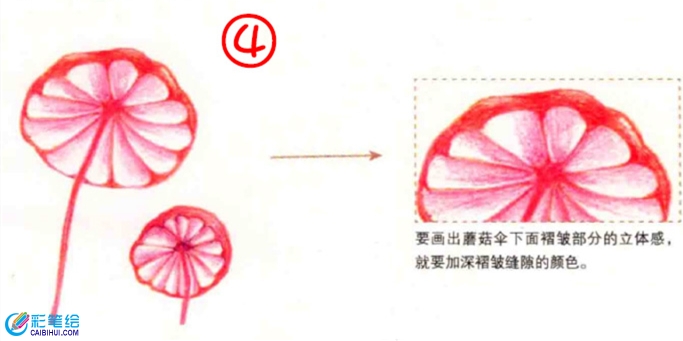 彩铅画蘑菇教程