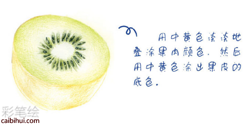 入门彩铅画猕猴桃教程