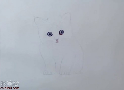 橘猫彩铅画步骤教程