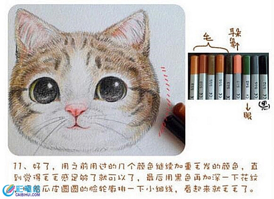 彩铅画基础技法教学：彩铅画上色步骤精讲