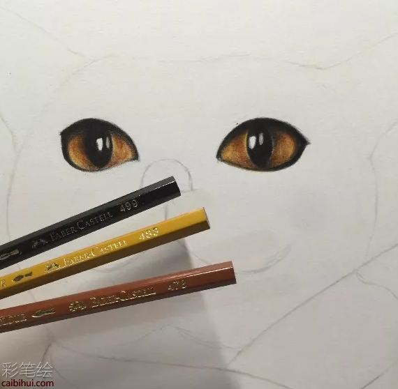 彩铅画猫的步骤图解
