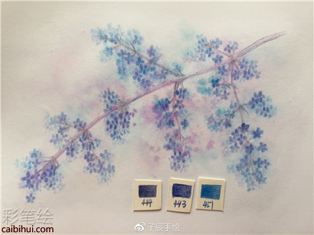 彩铅画花卉步骤图