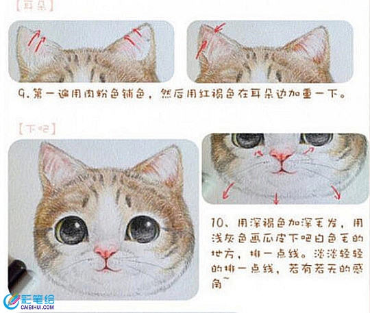 彩铅画基础技法教学：彩铅画上色步骤精讲