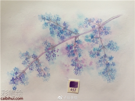 彩铅画花卉步骤图