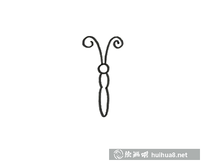 蝴蝶身体和触角